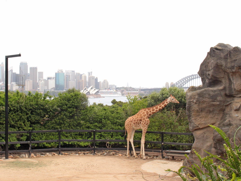 Taronga Zoo