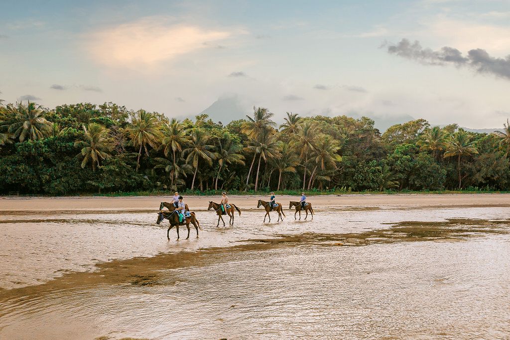 Daintree Discovery Centre