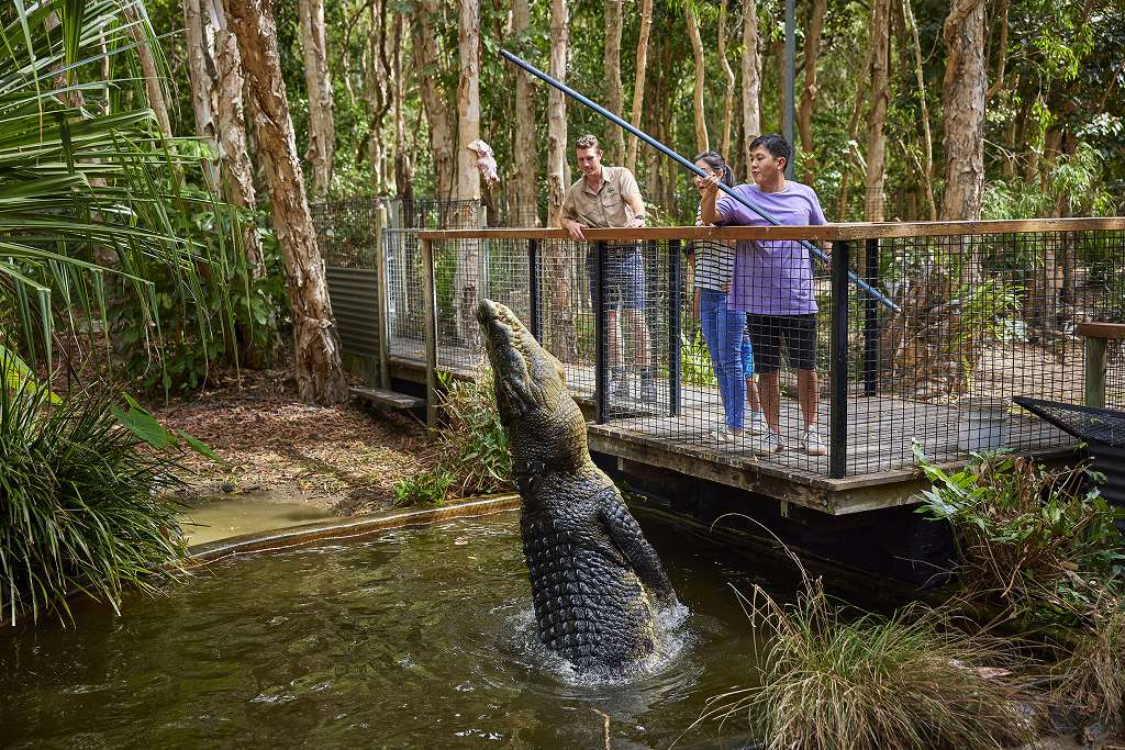 Hartley's Crocodile Adventures