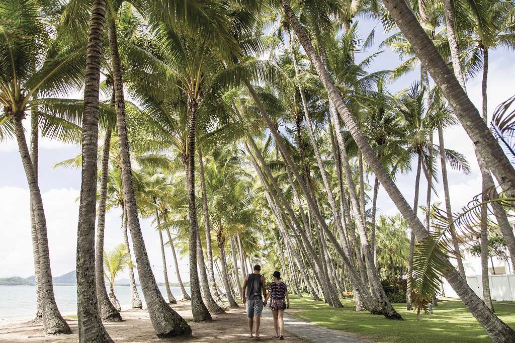 Palm Cove